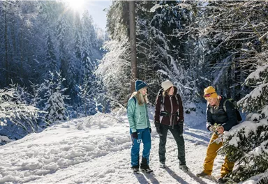 Three friends are standing on a snow-covered forest path. The sun is shining through the trees, creating a wintry atmosphere.