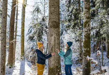Two people are standing in a snowy forest, hugging a tree. The sun is shining through the trees, creating a friendly atmosphere.