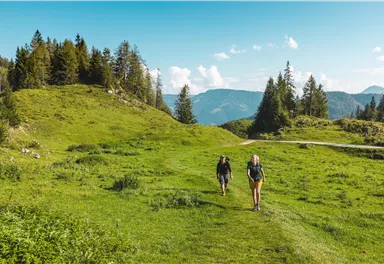 Zwei Wanderer gehen auf einem grünen Weg durch eine malerische Landschaft. Im Hintergrund sind Bäume und Berge zu sehen.