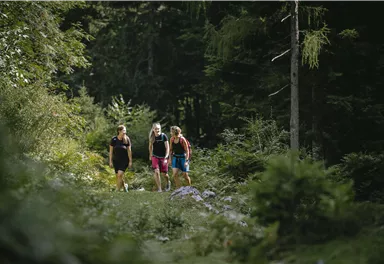 Zwei Wanderer gehen einen Weg zu einer Berghütte mit roten Sonnenschirmen. Die Umgebung ist grün mit Bäumen und Bergen im Hintergrund.
