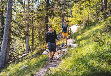 Zwei Wanderer gehen auf einem Pfad durch einen Wald. Es ist sonnig und die Natur ist grün und lebendig.
