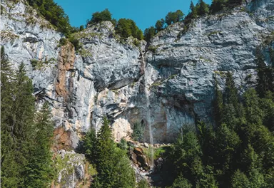 Eine beeindruckende Felswand mit grünen Bäumen und klarem Himmel. Im Vordergrund sind dichte Wälder zu sehen.