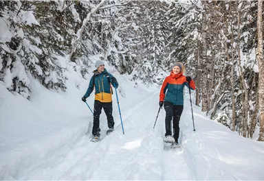 Zwei Menschen wandern mit Schneeschuhen auf einem verschneiten Weg durch einen Wald. Die Umgebung ist winterlich und von Schnee und Bäumen geprägt.