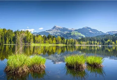 A picturesque lake with green shore vegetation and gentle hills in the background. The sky is clear and blue, and the mountains are partially snow-covered.