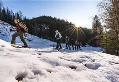 A group of hikers is moving through snow-covered terrain. The sun is shining behind the trees, giving the scene a warm atmosphere.