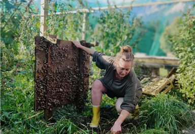 Eine Person arbeitet im Gewächshaus und entfernt Unkraut. Im Hintergrund sind Pflanzen und eine beeindruckende Berglandschaft zu sehen.