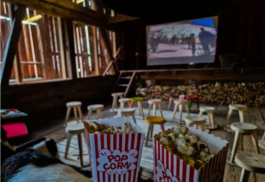 Ein gemütlicher Raum mit Stühlen und einer Leinwand im Hintergrund, auf der ein Film gezeigt wird. Vorne stehen zwei Popcorntüten in gestreiften Bechern.