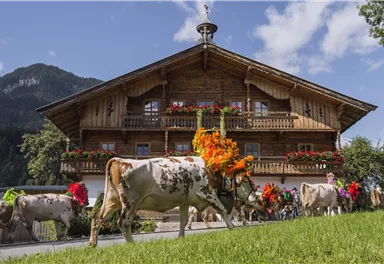 Ein traditionelles Holzhaus mit Blumenverzierungen. Kühe mit bunten Blumenkränzen ziehen vorbei.