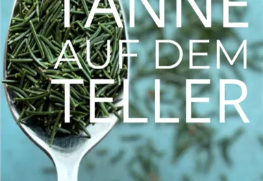 A large spoon with fresh pine needles on a blue background. The text points to edible conifers.