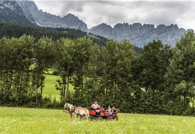 Eine Kutsche mit zwei Pferden fährt durch eine grüne Wiese. Im Hintergrund sind majestätische Berge und bewaldete Flächen zu sehen.