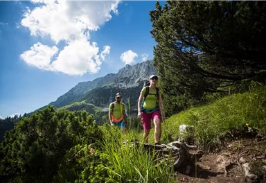 Zwei Wanderer erkunden einen grünen Pfad in den Bergen. Der Himmel ist blau mit wenigen Wolken, und im Hintergrund sind beeindruckende Felsen zu sehen.