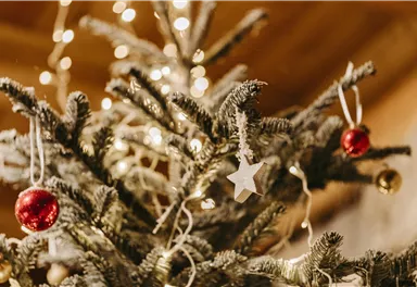 Ein festlich dekorierter Weihnachtsbaum mit roten Kugeln und einem weißen Stern. Lichter funkeln auf den Zweigen und schaffen eine gemütliche Atmosphäre.