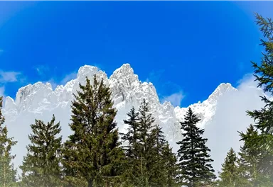 An impressive mountain landscape with snow-capped peaks under a clear blue sky. In the foreground, tall green trees stand.