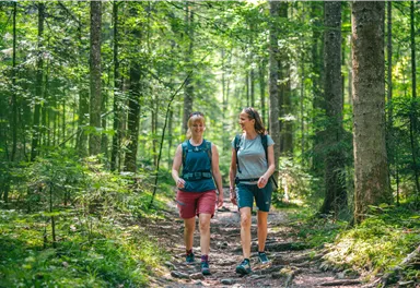 Zwei Wanderer gehen einen schmalen Pfad durch den Wald. Umgeben von Bäumen und grüner Wiese genießen sie die Natur.