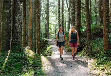 Zwei Frauen wandern auf einem Waldweg zwischen hohen Bäumen. Die Sonne scheint durch das Blätterdach und sorgt für eine angenehme Atmosphäre.