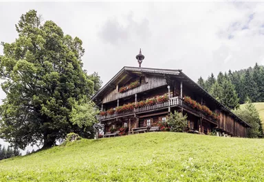 Ein traditionelles Holzhaus mit Blumenkästen und einem großen Baum daneben. Die Umgebung ist eine grüne Wiese mit sanften Hügeln im Hintergrund.