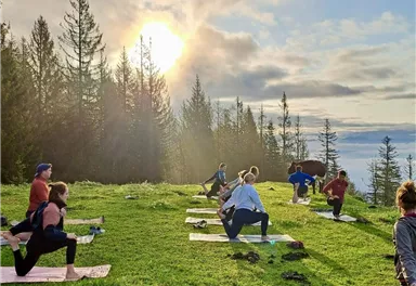 Eine Gruppe von Menschen macht Yoga auf einer grünen Wiese in der Natur. Im Hintergrund sind Bäume und ein sonniger Himmel zu sehen.