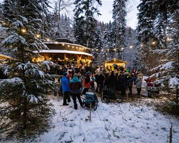 Eine winterliche Festveranstaltung im Wald mit vielen Menschen. Die Umgebung ist mit Schnee bedeckt und das Licht der Veranstaltung schafft eine gemütliche Atmosphäre.
