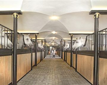 An elegant horse stable with multiple stalls. White horses curiously peek out of their boxes.