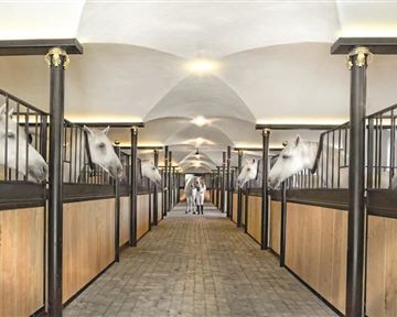 An elegant horse stable with multiple stalls. White horses curiously peek out of their boxes.