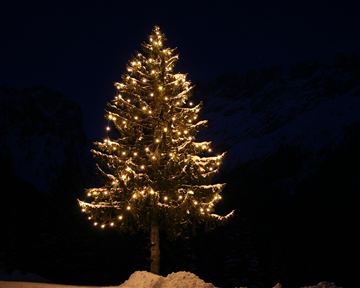 A festively lit Christmas tree stands in the darkness. Snow-covered mountains are visible in the background.