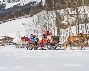Eine Pferdeschlittenfahrt durch verschneite Landschaft. Im Hintergrund sind Bäume und ein traditionelles Chalet zu sehen.