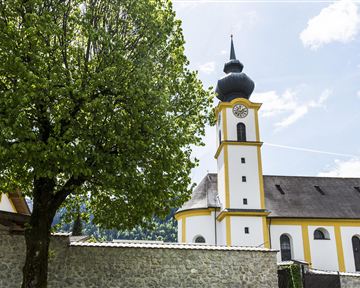 Eine Gruppe von sechs Musikern steht auf einer grünen Wiese. Sie halten verschiedene Musikinstrumente, darunter eine Harfe, eine Gitarre und eine Tuba.