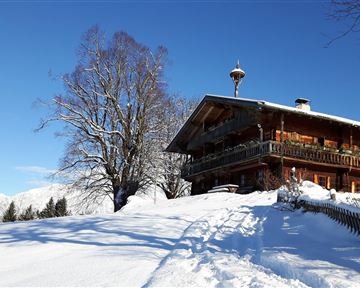 Ein malerisches Haus im Schnee, umgeben von einer ruhigen Winterlandschaft. Der klare blaue Himmel ergänzt die idyllische Szene.