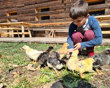 Ein Junge sitzt auf dem Gras und füttert kleine Küken. Im Hintergrund ist eine Holzhütte zu sehen.