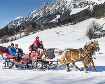 Eine Pferdeschlittenfahrt durch eine verschneite Landschaft. Im Hintergrund sind Berge und Bäume sichtbar.