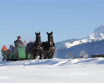 A horse-drawn sleigh ride in a snowy winter landscape. In the background, mountains are visible under a clear sky.