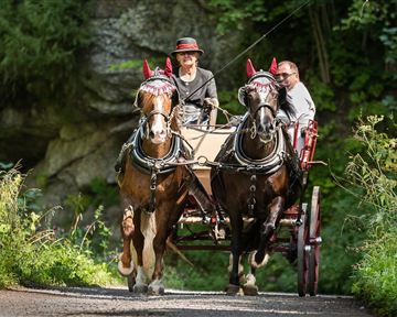 Zwei Pferde ziehen eine Kutsche auf einem schmalen Weg. Im Hintergrund sind grüne Bäume und Felsen zu sehen.