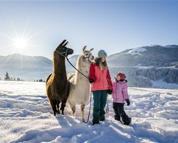 A family with two llamas stands in the snow. Mountains and a clear sky can be seen in the background.