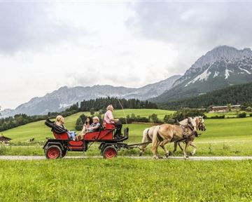 A carriage with several passengers is driving through a green landscape. In the background, mountains and a cloudy sky can be seen.