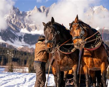 Pferdeschlittenfahrt