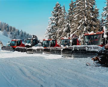 Eine Reihe von Pistenbullys steht auf einem verschneiten Hang. Im Hintergrund sind winterliche Bäume und ein klarer blauer Himmel zu sehen.