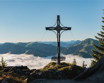 Ein schmaler Schotterweg führt durch einen herbstlichen Wald. Bunte Blätter und hohe Bäume umgeben die Landschaft, während im Hintergrund Berge zu sehen sind.