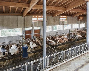 Ein Holzgebäude mit einem großen Horn an der Spitze steht in einer grünen Landschaft. Viele Menschen versammeln sich vor dem Eingang.