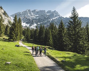 A group of hikers is walking on a path through a green landscape. In the background, high mountains with snow are visible.