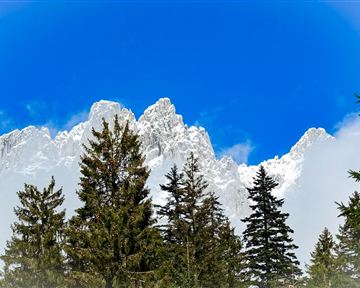 An impressive mountain landscape with snow-capped peaks under a clear blue sky. In the foreground, tall green trees stand.