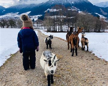 Ein Kind mit einer Mütze geht einen Weg entlang, gefolgt von mehreren Ziegen. Im Hintergrund sind schneebedeckte Berge und ein bewölkter Himmel zu sehen.
