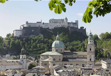 An impressive fortress is situated on a hill above the city. Below, historical buildings with distinctive roofs and green trees are visible.