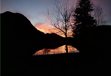 A picturesque landscape at sunset with silhouetted trees and gentle hills. The sky is painted in warm colors as the light reflects in the water.