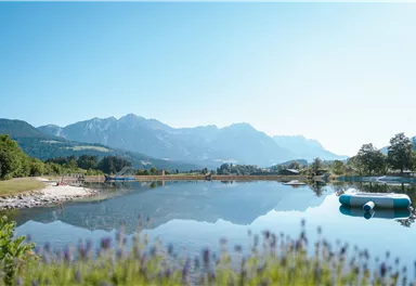 A quiet lake surrounded by mountains and trees. The clear sky reflects in the water.