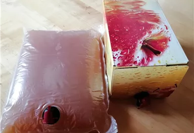 Two packages for a beverage, a plastic bag and a cardboard box. Both display apple drink and have a spout.