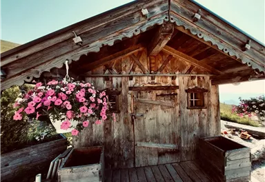 A rustic wooden cabin with beautiful pink flowers in the flower box. In the background, a green landscape can be seen.