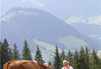 A woman in traditional attire stands next to a cow in a meadow. In the background, mountains and forests can be seen.