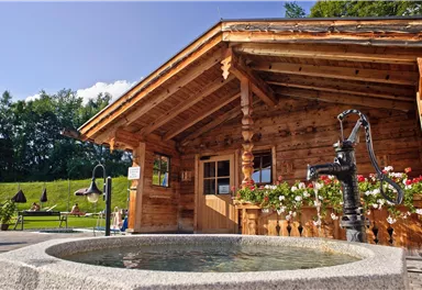 A traditional wooden house with a well in front of the door. In the background, there are green meadows and blooming plants.