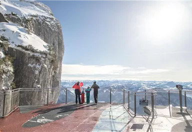 A group of people is standing on an observation platform with snow-covered mountains in the background. The sun is shining and the sky is clear.