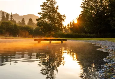 A quiet lake in the morning light with a gentle layer of mist. In the background, trees and the rising sun can be seen.